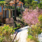 Bán Đất Mặt Tiền Trịnh Hoài Đức thích hợp nghỉ dưỡng kinh doanh Homstay cực đẹp