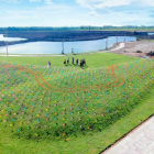 ĐẤT NỀN - NHÀ PHỐ - SHOP HOUSE