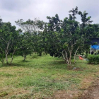 cần bán đất xã yên mông thành phố hòa bình