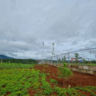 Đất thổ cư gần Tea Resort, Lộc Nga, diện tích lớn, giá tốt nhất Bảo Lộc