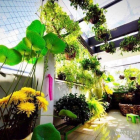 Quận 1 Khu đất vàng Zen plaza , mặt tiền 5 tầng GIẢM CÒN 16 tỷ