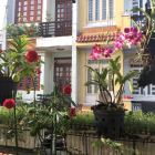 BÁN NHÀ TÔ KÝ QUẬN 12 GẤP MÙA DỊCH