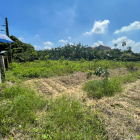 đầu tư vốn gốc, sinh lời tới ngọn