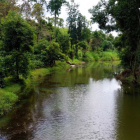 10,2 ha view điện gió thích hợp làm trang trại hay nghỉ dưỡng