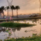 Khu dô thị kiểu mẫu Dragon Pearl