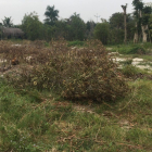 lô đất đẹp cần tìm chủ đẹp để  hợp tác lh 0974162152 gặp khánh