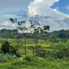 Đón sóng cao tốc Hòa Bình - Mộc Châu cần bán lô đất chính chủ Phiêng Luông.