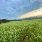 Bán mảnh đất View Hồ hiếm có ở Chiềng Đi, giá chỉ từ hơn 1 triệu/ m2