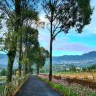 Eden Hills đất nền tại Nam Ban Lâm Hà chỉ 2.450 tỷ lô 306m full thổ cư