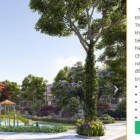 KĐT TNR Stars Phong Châu - Phù Ninh - Phú Thọ