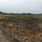 Lô ĐẤT vườn chính chủ 1000m2 giá chỉ từ 1tỷ hơn