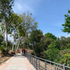 Đất Bình Châu ven biể tặng vườn cây ăn trái