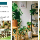 Căn hộ 2 phòng ngủ: 70m2, 45tr.m2