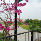 Nhà 4 Lầu,đ. Mai Hắc Đế, Sơn Trà, 48 m2, 3 pn. HXT vi vu thông suốt. 0358924229