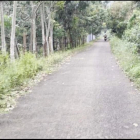 Đất An Khương - Hớn Quảng - Bình Phước. Cho 45 ngày công chứng