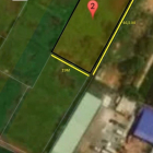 Em cần bán đất nền tại đường số 11 95m2 giá 2 tỷ 1 gặp trực tiếp để thương lượng