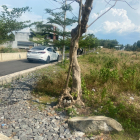 Bán 300m2 Đất Thổ Cư , Ngay đường QL20 Tân Phú, Đồng Nai