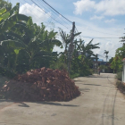 Bán Lô Đất 622m Giá Rẻ Tại Xã Khởi Nghĩa, Tiên Lãng