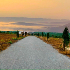 mở bán khu biệt thự vườn bảo lộc