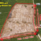 Cần bán10.000m2 đất có mặt tiền 150m đường betông Gía đầu tư tại Bình thuận