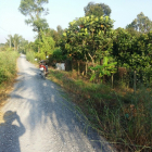 Bán đất nhà vườn - dt: 1986m2 - 210m2 thổ cư - view rạch - giá 14 tỷ