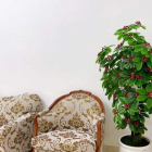 BIỆT THỰ MINI - TRUNG TÂM QUẬN BA ĐÌNH - Ô TÔ ĐỖ CỬA - Ở SƯỚNG - GIÁ HỢP LÝ.