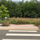 Cần vốn đầu tư mới, bán lô đất 2 MT full thổ DT 104.5m2 Bàu Bàng, Bình Dương