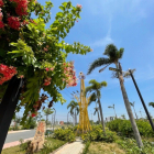 KDC Long Cang New City. Đầu tư chỉ từ 650TR. Lợi Nhuận 20%. Cam Kết 6TH Ra Hàng