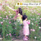 Đất nền thổ cư Lộc Phú - Bảo Lâm view đồi, giá tốt nhất khu vực chỉ từ 5tr/m2