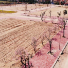 Cần Bán 10 lô liền kề đất dự án tại Kim Thành Hải Dương