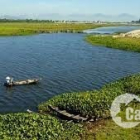 CẦN BÁN ĐẤT MẶT TIỀN, VIEW SÔNG CỔ CÒ HỘI AN, 861M2 ĐẤT THỔ CƯ, 25TỶ