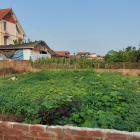 Chính chủ cần chuyển nhượng giá rẻ 516m2 đất Đông Tảo_Khoái Châu_chỉ có 14.5tr/m