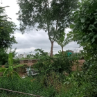 Chính chủ có việc cần tiền bán đất thổ cư giá rẻ tại thành phố Thủ Đức