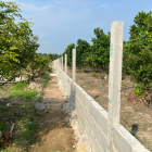 Bán vườn nhãn Bình Châu Garden 1 - SHR - Mặt tiền nhựa - ngay Nova Onsen