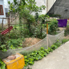 Chính chủ bán 35m thổ cư xóm 3 La Tinh Đông La, chợ Cầu Ải  Dương Nội rẽ vào 500