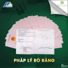 Cơ hội nghìn năm có 1 của các nhà đầu tư sáng suốt