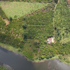 đất thôn1 lộc an gần trường gần chợ cách quốc  lộ 1km hơn 50m mặt đường nhựa