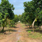 BÁN ĐẤT SÀO KHÁNH TRUNG PHÙ HỢP ĐẦU TƯ, LÀM VƯỜN CÂY ĂN TRÁI