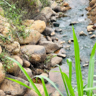 Nam Hà giá chỉ từ 2tr/m2, sát suối, view đồi thông. QH full thổ. Betong 5m đẹp.