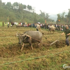 Đất Chính Chủ Giá 5xx - Xuân Giao , Lào cai