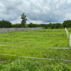 Cần Bán gấp  Đất sào xã Bầu cạn , Phủ hồng ấp 5