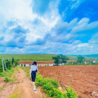 Đất nền Gia Lai, View Hồ , điện gió