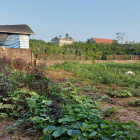 Hiếm! Lô góc, ô tô tránh, bán 520m2 đất Đông Tảo_Khoái Châu_chỉ có 15tr/m2