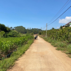 2.000m2(60x35m)SHR, đường bê tông thông chỉ 2 tỷ 1