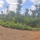 Bán 2 sào đất Hòa Thuận song song đường 25B, tp Buôn Ma Thuột.