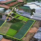 4tr/m2 Đất nông nghiệp Phường 5 - Tp. Đà Lạt