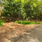 Đât giá rẻ Thạnh Bình, Tân  Biên Tây Ninh