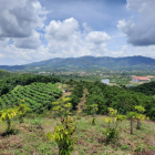 10500m2 đất view sát khu dân cư Đại Lào, TP Bảo Lộc