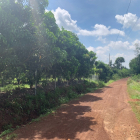 đất vườn xoài 950tr/1000m2 giá f0 cho anh chị đầu tư