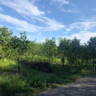 Giá rẻ nhất thị trường 1000m2, đường rộng 6m, MT dài 12m Xã Thanh Sơn, Định Quán